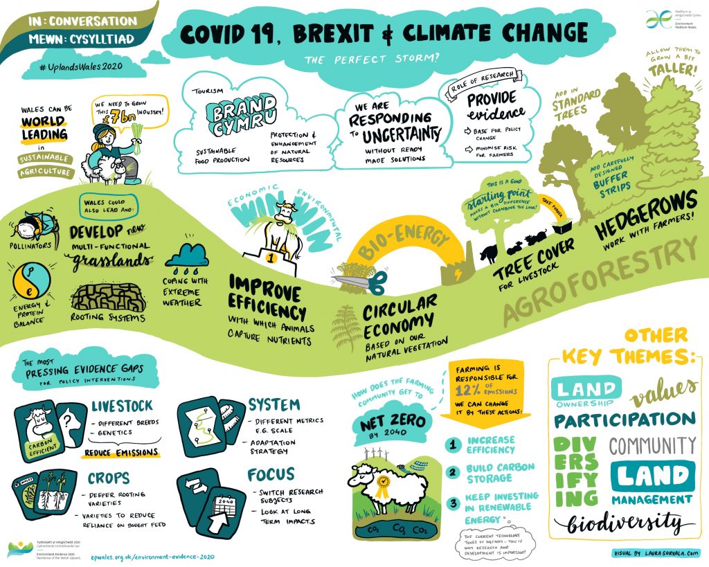 Infograhic of webinar discussion 