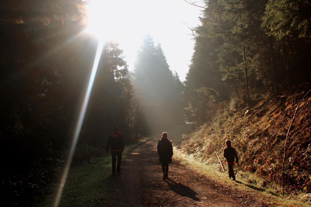 Family walking through forest