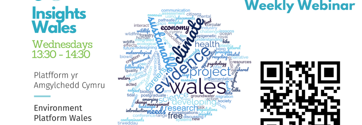 Insights Wales 2024-25: Call for presentations